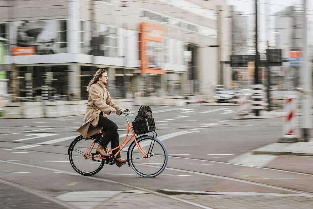 Navigating the City Without a Car