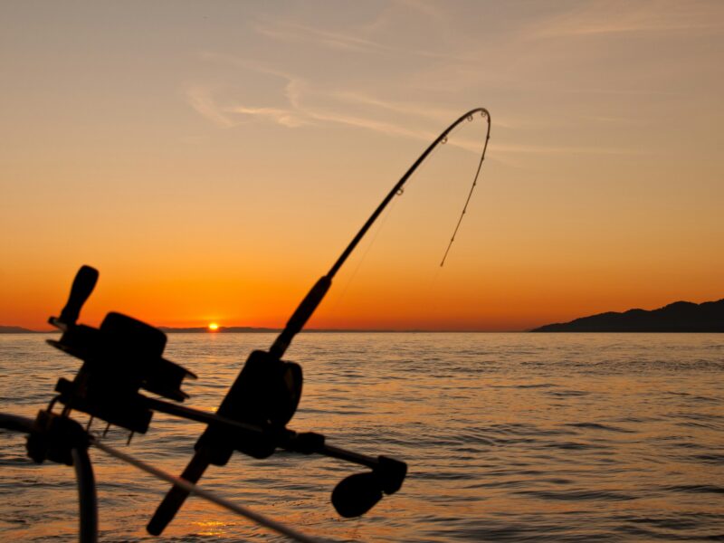 Los Suenos Fishing Charters