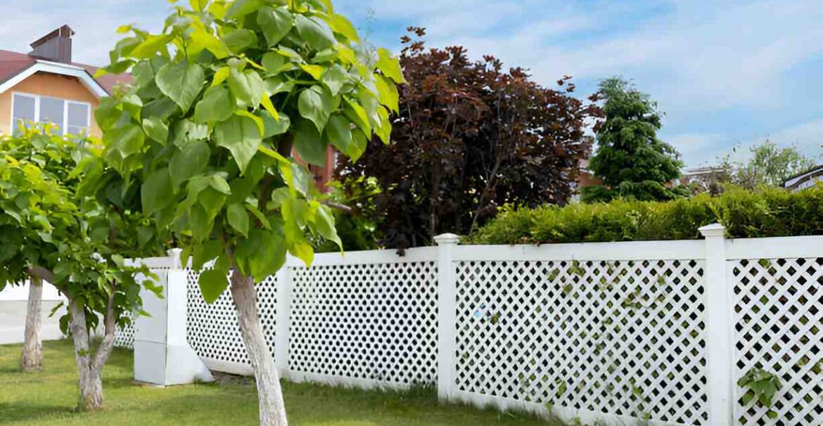 finding the right backyard fencing options that fit your home