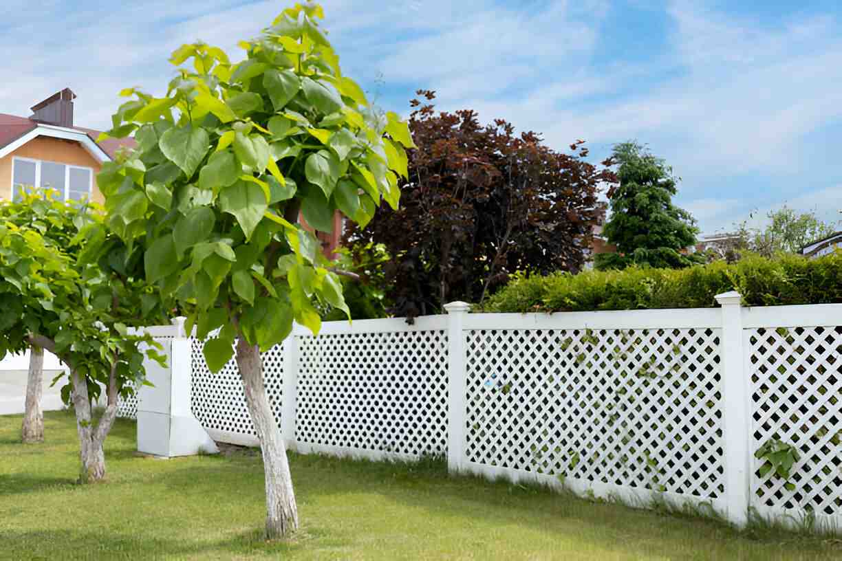 finding the right backyard fencing options that fit your home