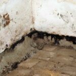 5 essential steps to damp-proof your basement and master moisture control